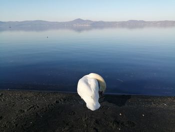 horizon
