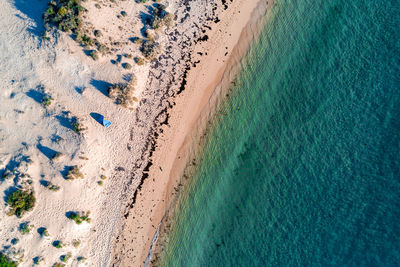 Aerial view of beach