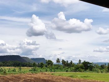 Scenic view of field against sky