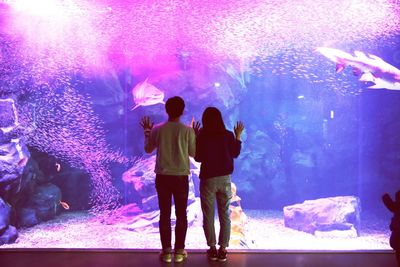 Rear view of silhouette friends standing in aquarium