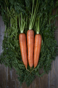 Carrots bunch on rustic background. vegetarian and vegan food. vertical photo.