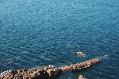 High angle view of rock formation in sea