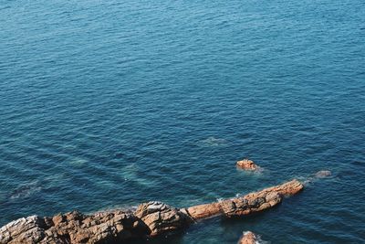 High angle view of rock formation in sea