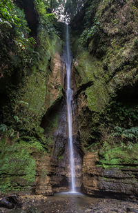 Scenic view of waterfall in forest