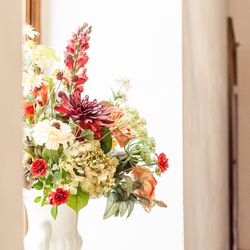 Close-up of flowers against wall