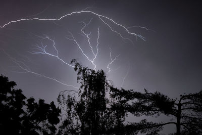 Low angle view of silhouette trees against sky at night