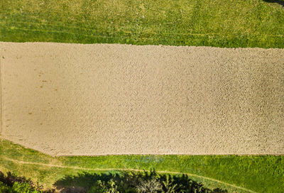 High angle view of grassy field