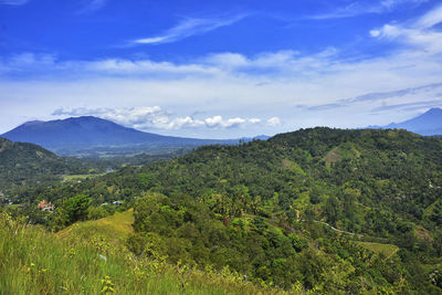 Scenic view of landscape against sky