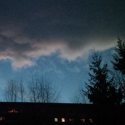 Low angle view of bare trees against sky