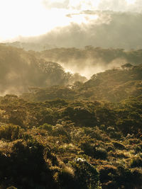 Aerial view of landscape against sky