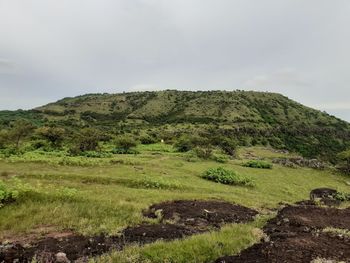 Indian rural  nature picture