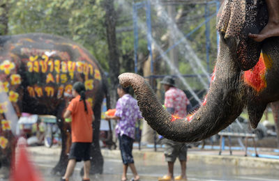 Rear view of people on street with decorated elephants