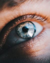 Close-up of man eye
