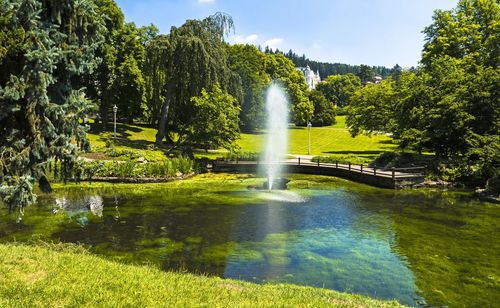 Scenic view of waterfall by trees against sky