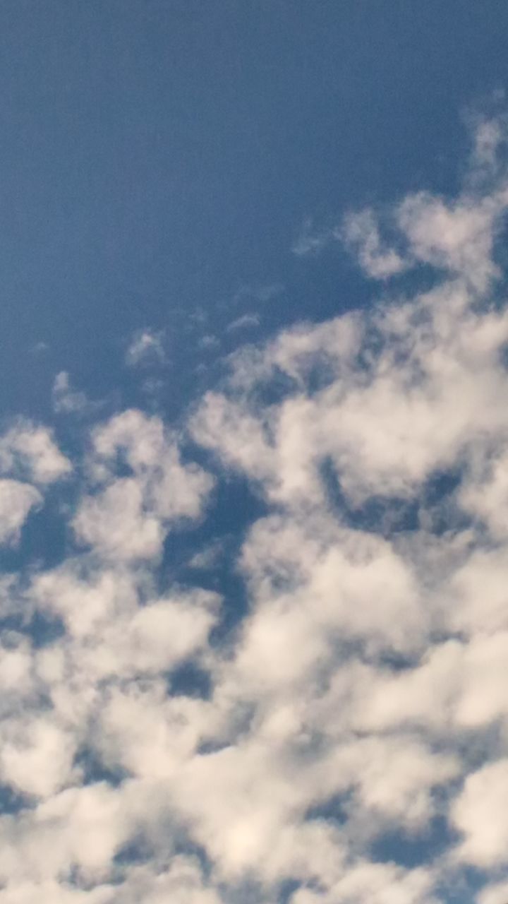 sky, sky only, beauty in nature, cloud - sky, tranquility, scenics, low angle view, tranquil scene, nature, cloudscape, backgrounds, white color, cloudy, full frame, blue, cloud, idyllic, fluffy, outdoors, white