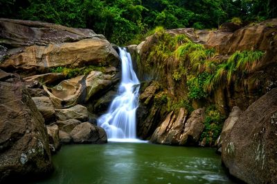 Scenic view of waterfall in forest