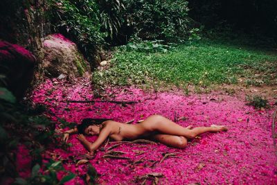 High angle view of naked woman lying on pink flowers