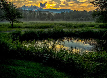 Scenic view of grassy field by lake against sky