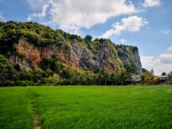 Scenic view of field against sky