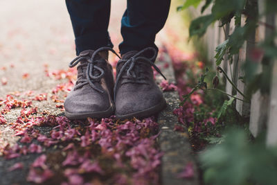 Low section of person standing on fallen petals on footpath