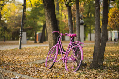 Bicycle parked by tree in park during autumn