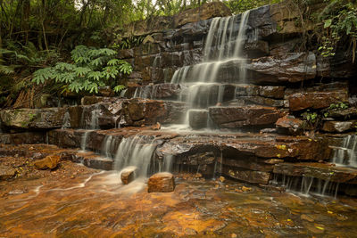 View of waterfall in forest