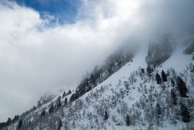 Scenic view of snow covered mountains against sky