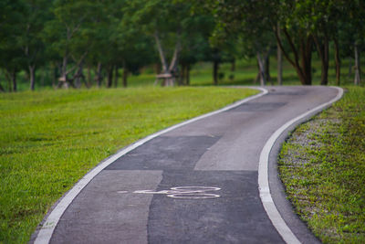 View of road passing through plants