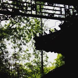 Low angle view of trees against sky