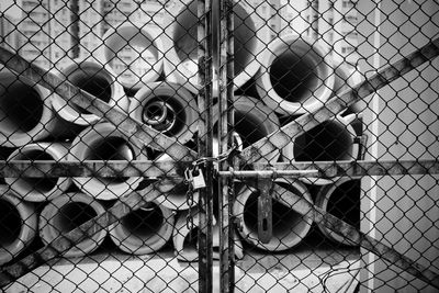 Close-up of monkey on chainlink fence