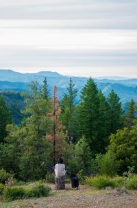 Rear view of people walking in forest