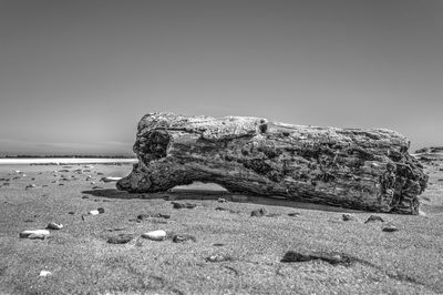 Rocks on shore