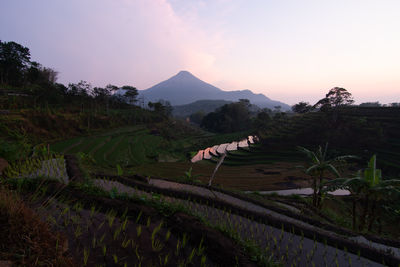 Scenic view of landscape against sky