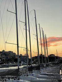 Sailboats moored in harbor at sunset