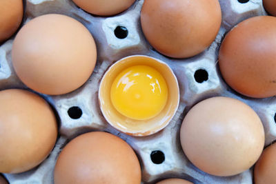 High angle view of eggs in container