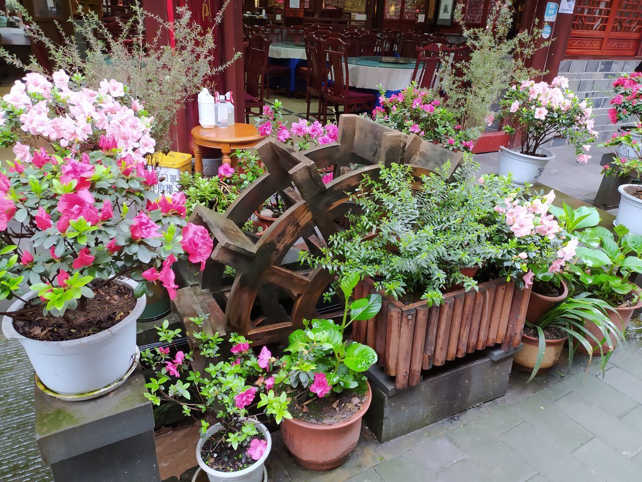 POTTED PLANTS AND FLOWERS ON TABLE AGAINST PLANT