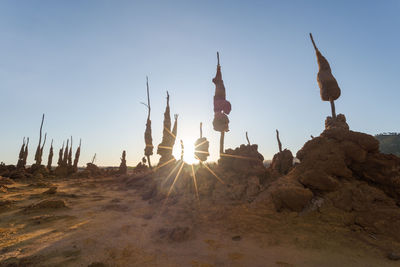 Dry trees on land against sky during sunset