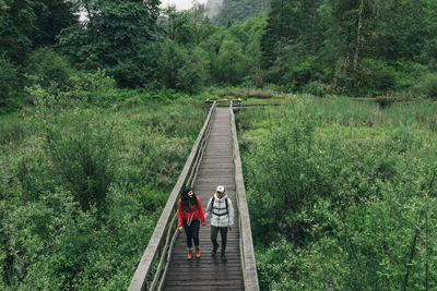 A young couple enjoys a hike on a boardwalk in the pacific northwest.