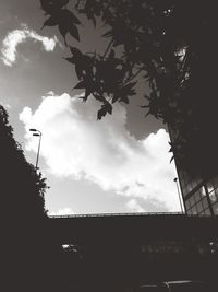 Low angle view of silhouette trees against sky