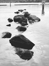 High angle view of rocks in lake