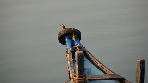 Bird on boat against sky