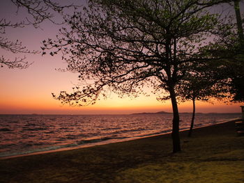 Silhouette trees on beach against sky during sunset