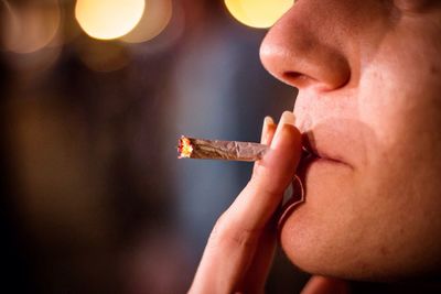 Close-up of cropped hand holding plant