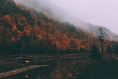 Scenic view of lake in forest during autumn