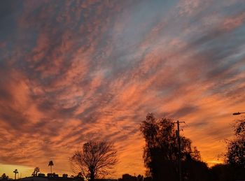 Low angle view of silhouette trees against dramatic sky