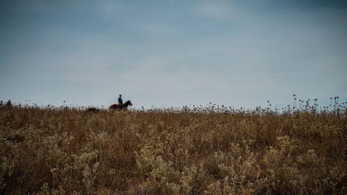 Man riding on field against sky