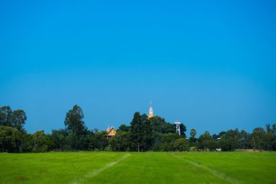 Scenic view of grassy field against clear sky