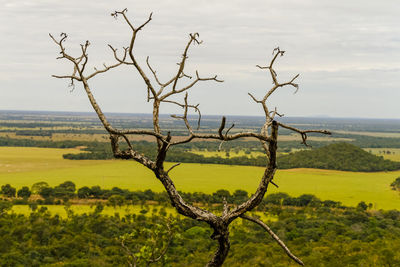 Scenic view of field against cloudy sky