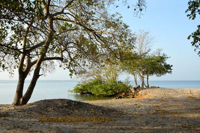 Scenic view of sea against clear sky