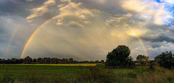 Scenic view of field against rainbow in sky